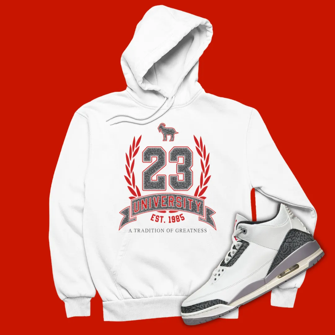 23 University Hoodie Matching Jordan 3 Cement Grey